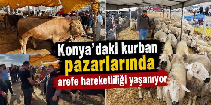 Konya’da arefe yoğunluğu! Kurban pazarlarında sıkı pazarlık yapılıyor