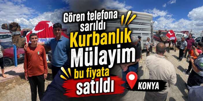 Konya’da kurban pazarının yıldızı deve Mülayim satıldı
