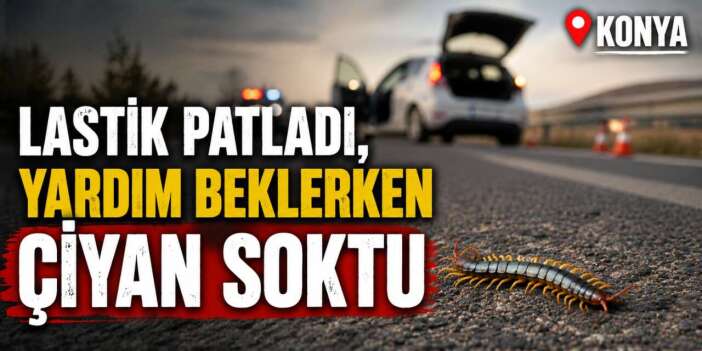 Konya’da lastiği patlayan araçtan indi, çiyan sokmasıyla hastanelik oldu