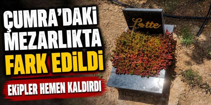 Konya’daki mezarlıkta şaşkına çeviren olay! Belediye harekete geçti