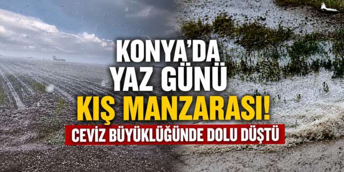 Konya’da ceviz büyüklüğünde dolu ekili arazileri talan etti