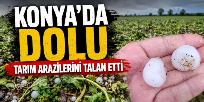 Fındık büyüklüğünde dolu Konya’da meyve ve sebze bahçelerini biçti