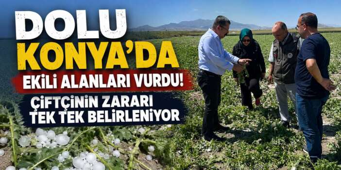 Konya’nın tarım kenti ilçesinde dolu ağır yara açtı