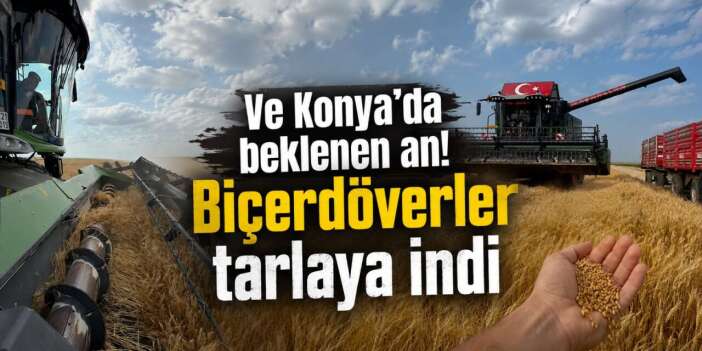 Konya’nın tarım başkentinde ilk hasat! İşte çıkan ürün miktarı