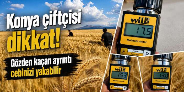 Konya’nın tarlalarında ölçüm yapıldı! Acele edenin kaybı artabilir