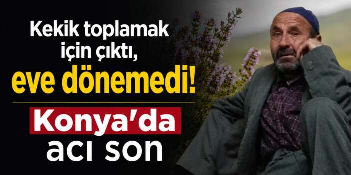 Konya'da kekik toplamaya gitmişti! Ekipler cesedini buldu