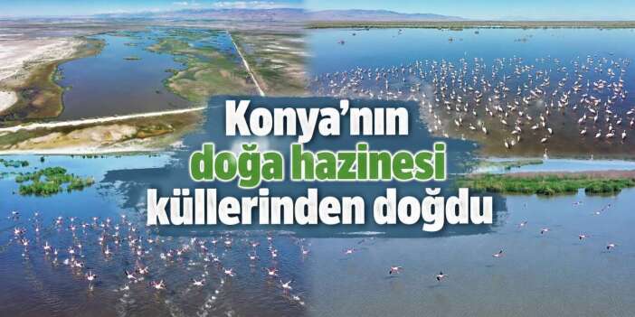 Müjdeyi pembe güzellikler verdi! Konya’nın doğa hazinesi küllerinden doğdu