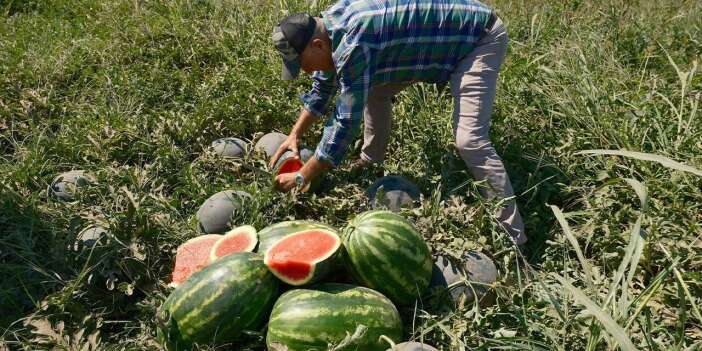 Konyalı firmayla yaptığı anlaşma kabusa döndü! 20 milyon liralık zarar etti