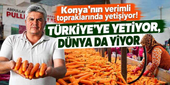 Konya’dan dünyaya uzanan lezzet köprüsü! 120 gün çocuk gibi bakıyorlar