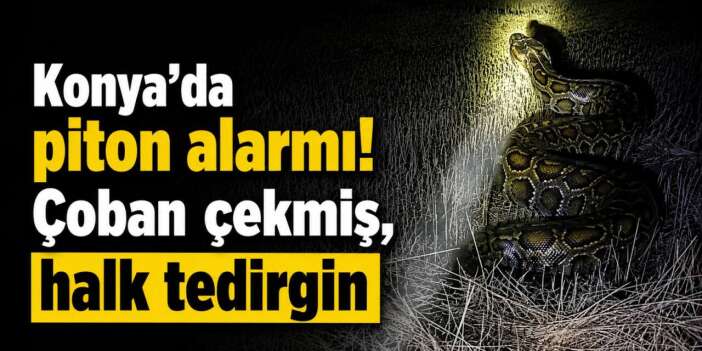Konyalı çiftçilere gece yarısı acil uyarı yapıldı! Tarlada devasa tehlike