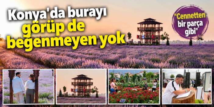 Türkiye'yi Konya'ya çeken Karatay'ın mor ve renkli cenneti gönülleri fethetti