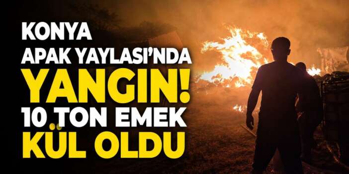 Konya'da gece yarısı yayla alev alev yandı