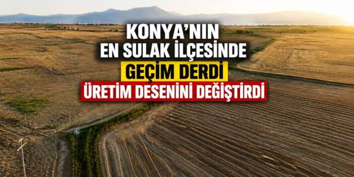 Konya’nın tarlalarında sessiz devrim! Çiftçi mecbur vazgeçti