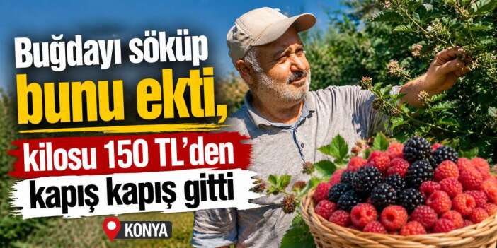 Konya’da tarlada devrim! Yeni kazanç kapısını Büyükşehir açtı