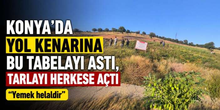 Konya’dan geçerken gören aracını durduruyor! Tarlayı halka açtı