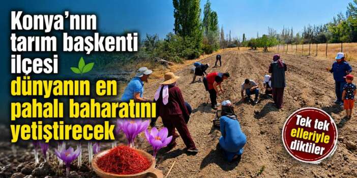 Artık Konya da üretecek! Gramı bile servet değerinde