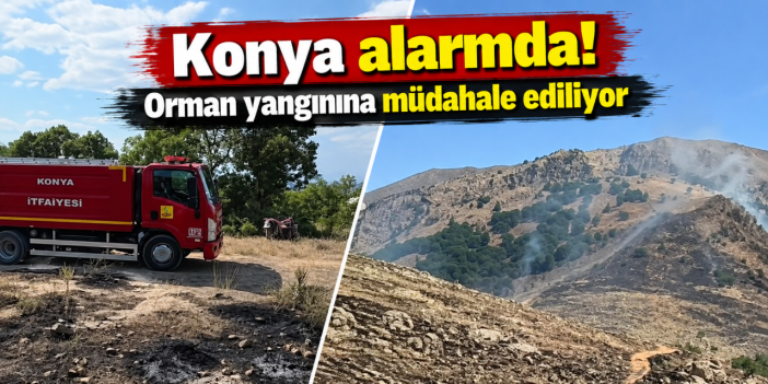Konya’da orman yangını çıktı! Alevler yaylalara ilerliyor