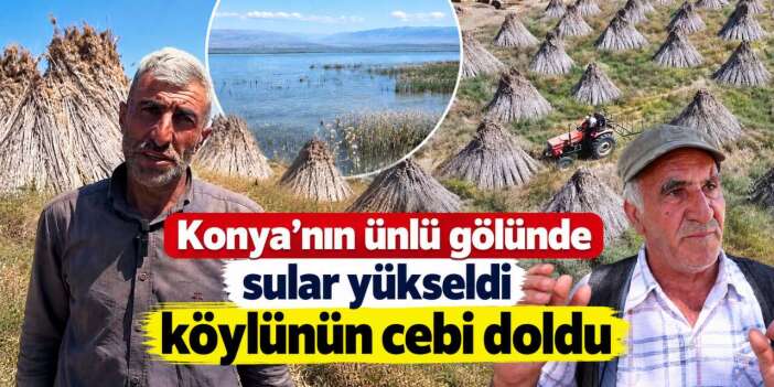 Konya’nın gölünde yetişiyor, Avrupa’ya uçuyor! 400 kişiye gelir kapısı