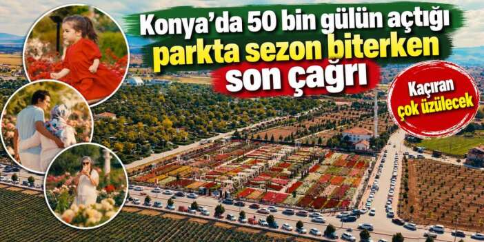 Konya’nın gül cennetinde sezonun sonuna gelindi