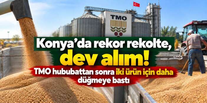 Konya tarımında tarihi sezon! TMO’nun alım rakamı 2 milyon tona dayandı