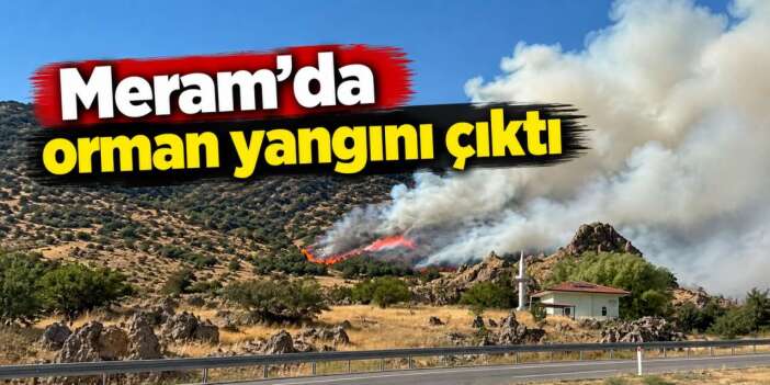 Konya’da ormanlık alanda yangın! Çok sayıda ekip müdahale ediyor
