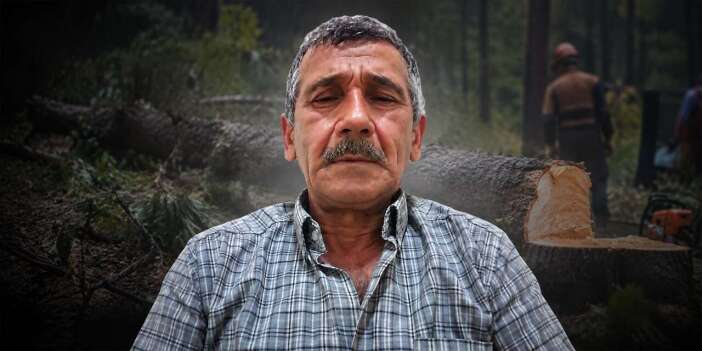 Kesilen ağaç orman işçisi Mehmet Çakır’ın ölümüne neden oldu