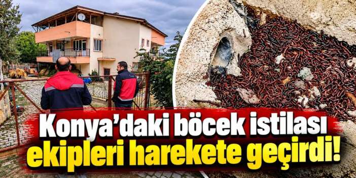 Konya’da evlerini böcek basan ailenin beklediği yardım geldi