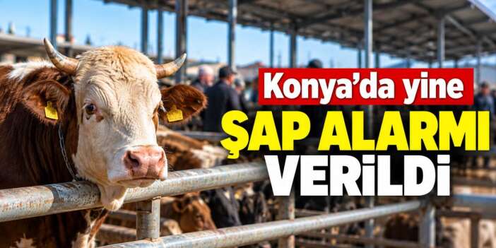 Konya’da hayvan alım satımı durduruldu! Giriş çıkışlar da engellenecek