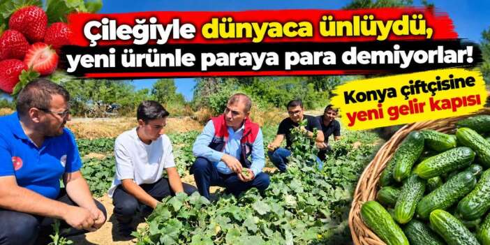 Konya’da küçük ama getirisi büyük ürün! Çiftçinin cebini dolduruyor
