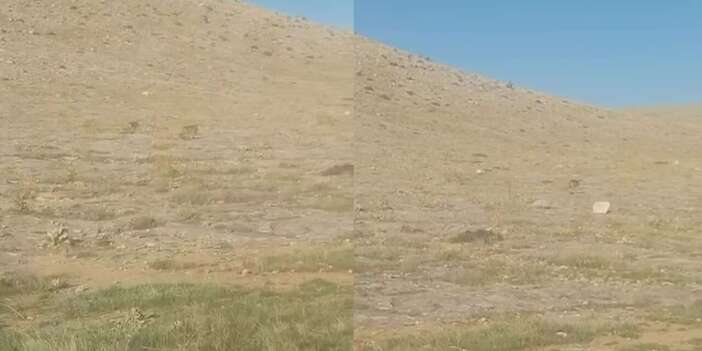 Konya’da tarlasına giden çiftçi neye uğradığını şaşırdı! Hemen telefonuna sarıldı