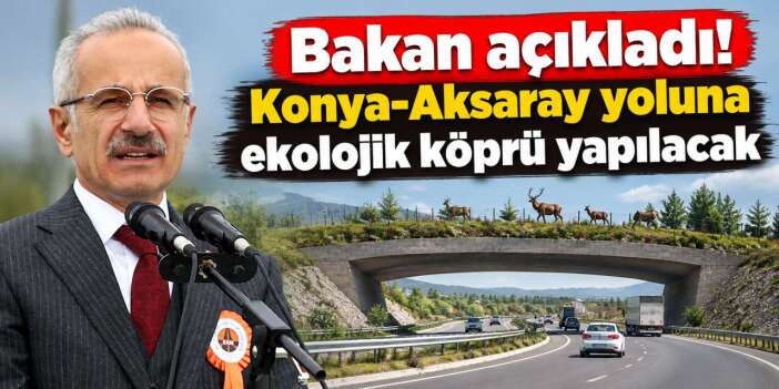 Konya - Aksaray yoluna yeni köprü geliyor! Ekolojik olacak