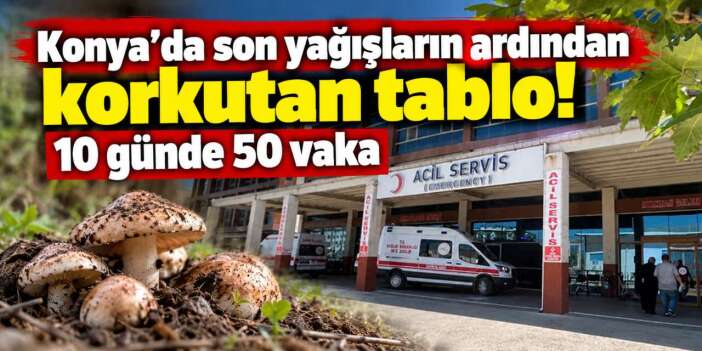 Konya’da mantar alarmı! Sadece bir ilçede 50 kişi hastanelik oldu