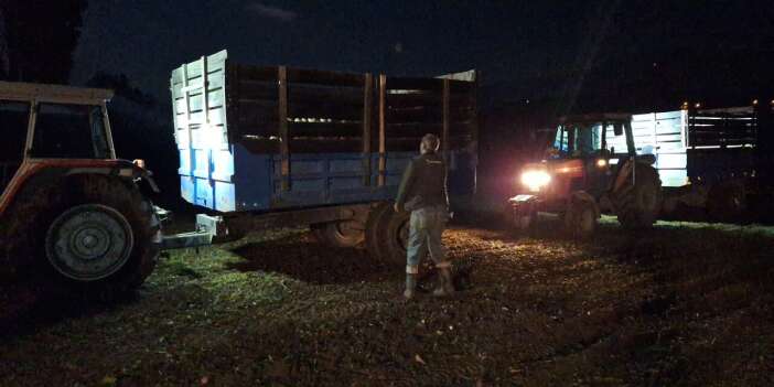 Uyarı sonrası çiftçiler hızlandı! Pancar hasadında gece mesaisi başladı