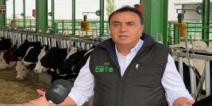 Konya’da hayvancılık sektörü alarmda! DSYB’den kritik çağrı