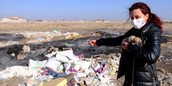 Konya'da 9 yavru köpeğin telef olduğu yangının ardından kalan iki hayvan için yapılan kulübe de yıkıldı!