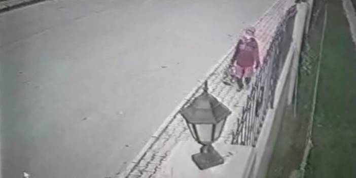 Günlerdir aranıyordu! Kayıp kadın ormanlık alanda ölü bulundu