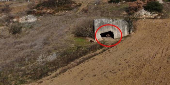Tarlada bulundu, 2 bin yıllık geçmişi var! Soylu bir aileye ait
