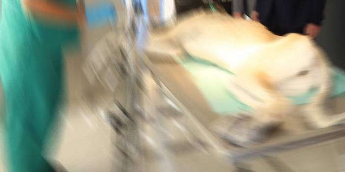 Konya Büyükşehir Belediyesi'nden 'pitbull' açıklaması: 'Şehrimiz ve belediyemiz karalanmaya çalışılıyor'