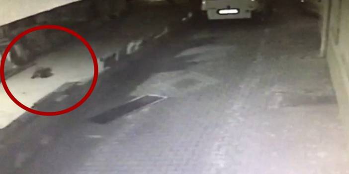 Konya’daki yangın faciasında acı anın görüntüleri ortaya çıktı! Küçük Melek böyle düşmüş