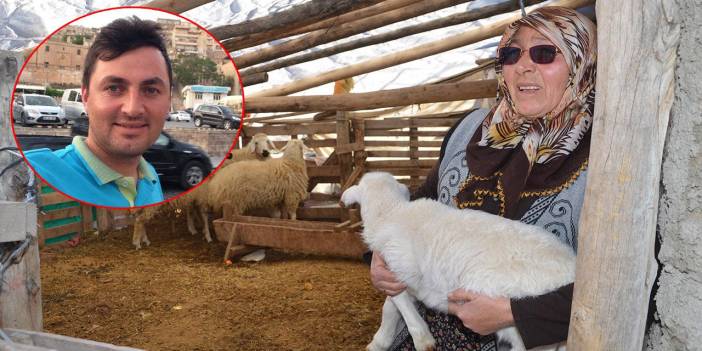 Konyalı şehit annesine hırsız şoku! Şehit oğlunun adını verdiği kuzusunu çaldılar