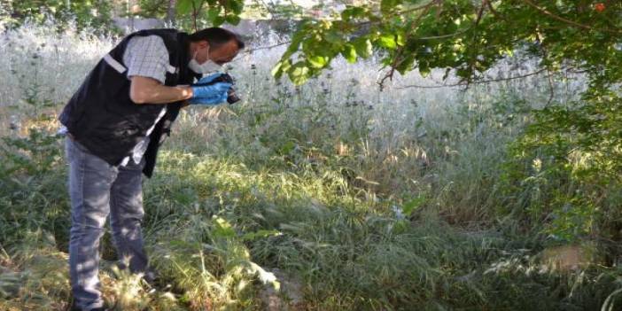 Nasıl kıydınız! Arsaya terk edilen 5 günlük bebek öldü
