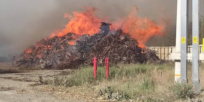 Biyokütle enerji santralinde yine yangın çıktı! Konya ekipleri de müdahale ediyor