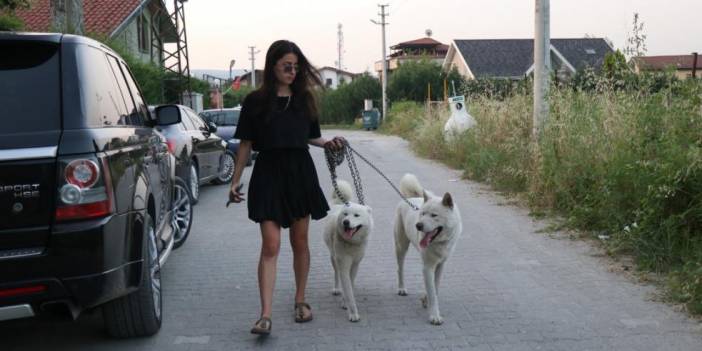 Köpeklerin ortaya çıkardığı çifte cinayetin sırrını göğüs silikonları çözecek