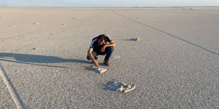 Tuz Gölü’ndeki flamingo ölümlerine ilişkin ilk rapor: Zehirlenme yok!