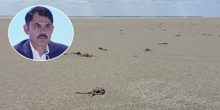 Bakan Kurum’dan flamingo ölümlerine ilişkin açıklama