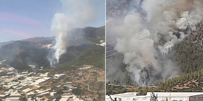 Ciğerlerimiz yanıyor! Manavgat'ın ardından Bozyazı'da da orman yangını çıktı