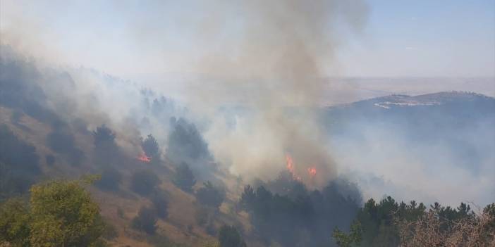 Kırıkkale'de ormanlık alanda çıkan yangın söndürüldü