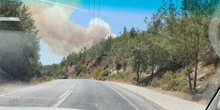Bodrum yakınlarında da orman yangını çıktı