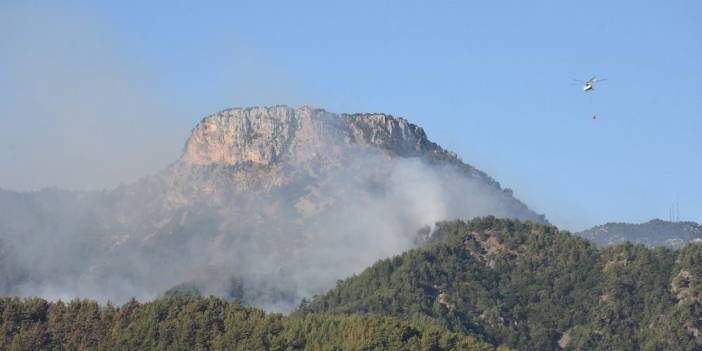 Orman yangınları havadan ve karadan müdahaleyle kontrol altına alınmaya çalışılıyor