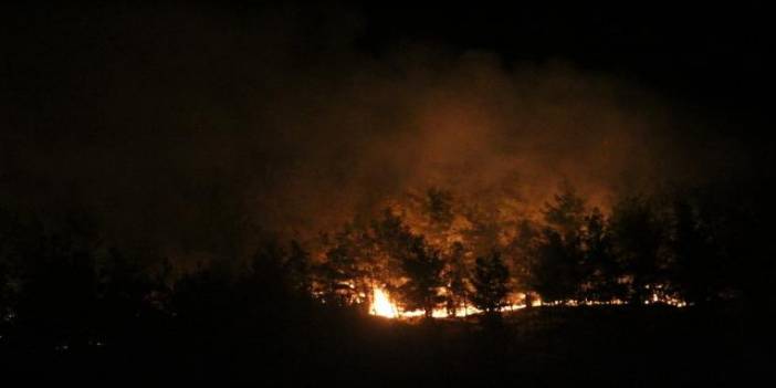 Manavgat'ta hareketli gece! Otel bölgesinde yeniden yangın başlayınca silahını alan ormanın içine koştu